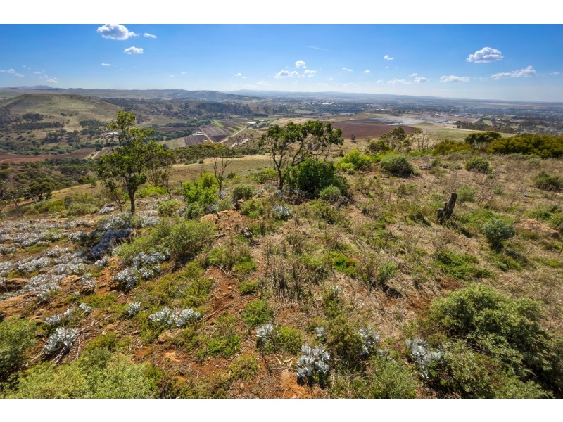 180 McCormacks Road, Bacchus Marsh VIC 3340