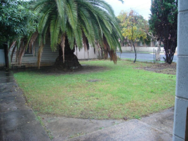 60 Evans Street, Wollongong NSW 2500