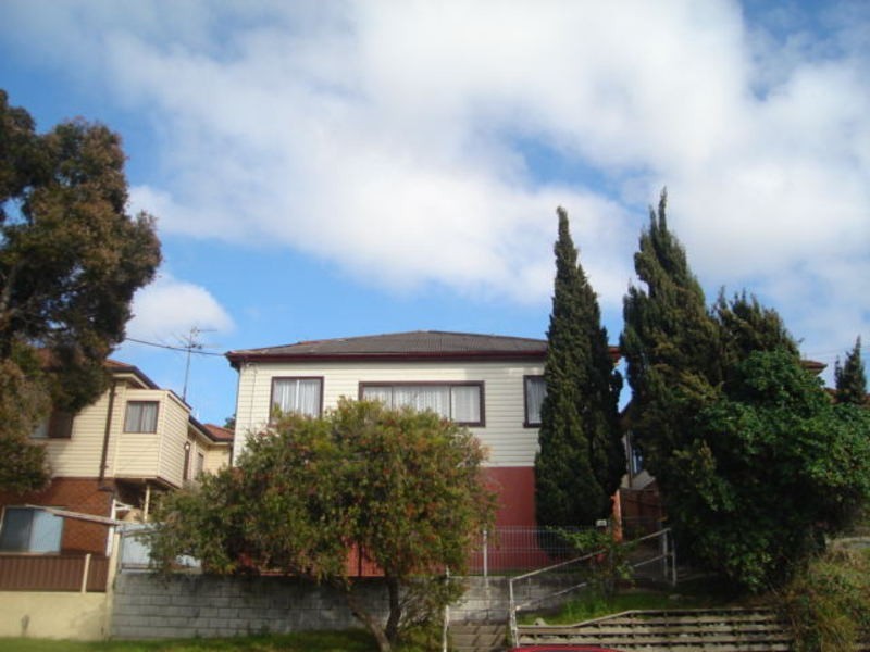 48 Lake Avenue, Cringila NSW 2502