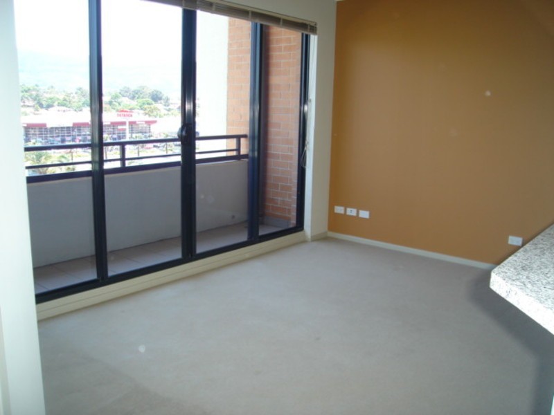 106/214 Princes Hwy, Fairy Meadow NSW 2519
