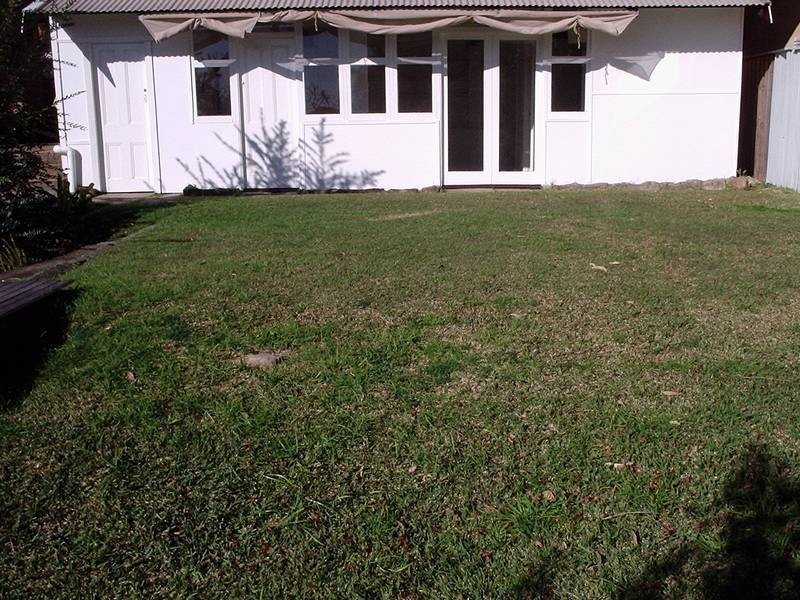 17 Argyle Street, Bilgola Plateau NSW 2107