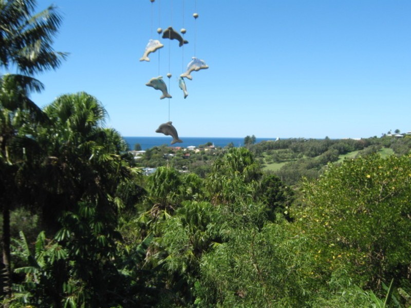 38 Palmgrove Road, Avalon NSW 2107