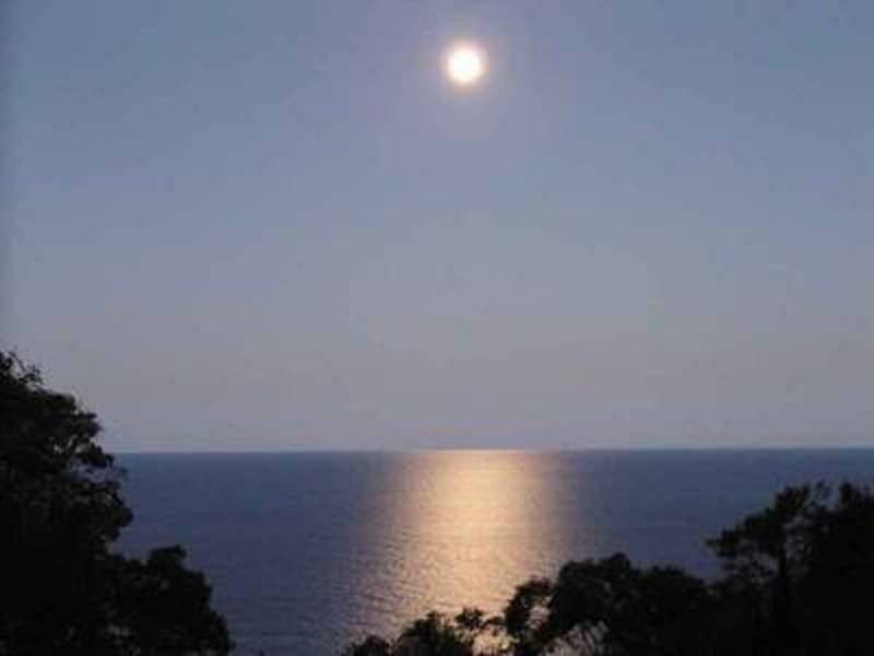 107a Plateau Road, Bilgola Plateau NSW 2107