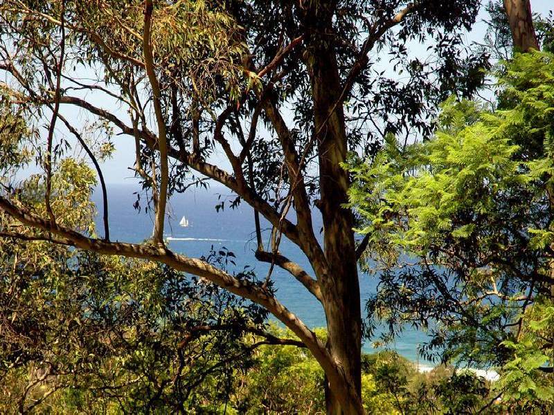 50 Grandview Drive, Newport NSW 2106