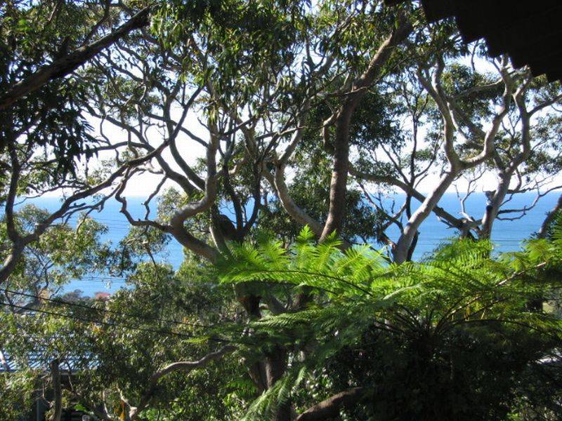 75 Plateau Road, Bilgola Plateau NSW 2107