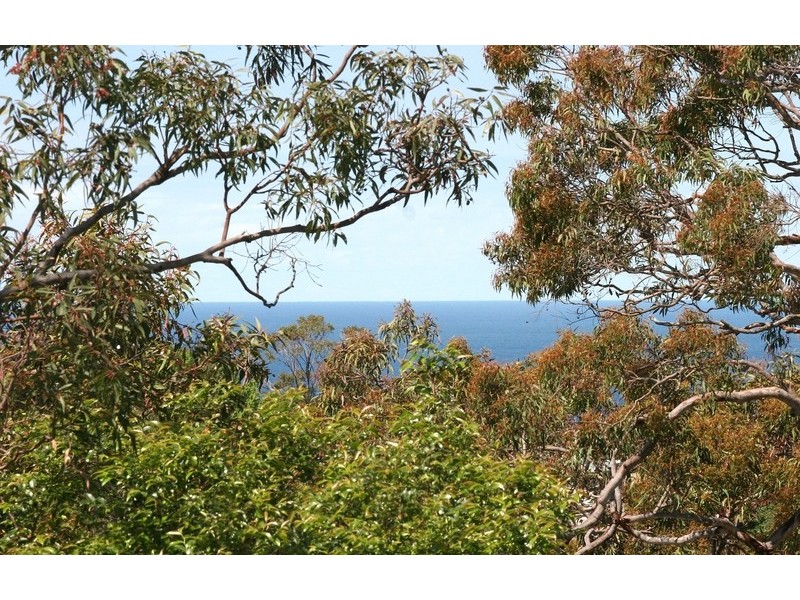 140 Grandview  Drive, Newport NSW 2106