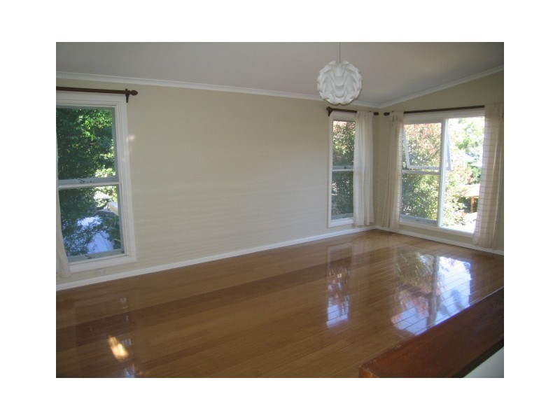 141 Plateau Road, Bilgola Plateau NSW 2107