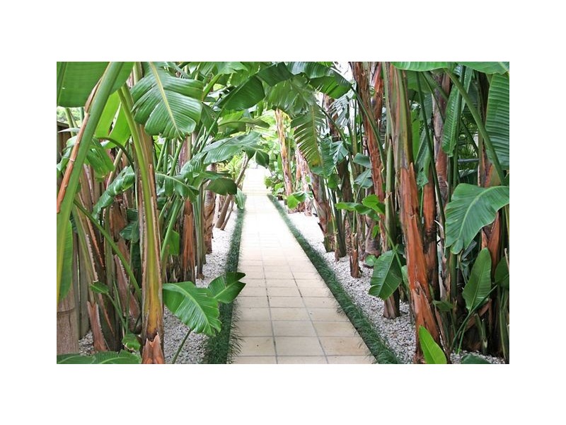 2/20 Golf Avenue, Mona Vale NSW 2103