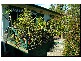 29 Albert Road, Avalon NSW 2107