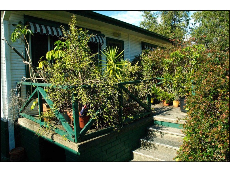29 Albert Road, Avalon NSW 2107