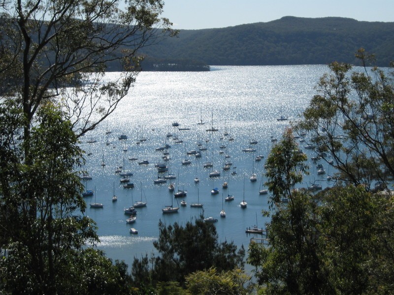 78 Herbert Avenue, Newport NSW 2106