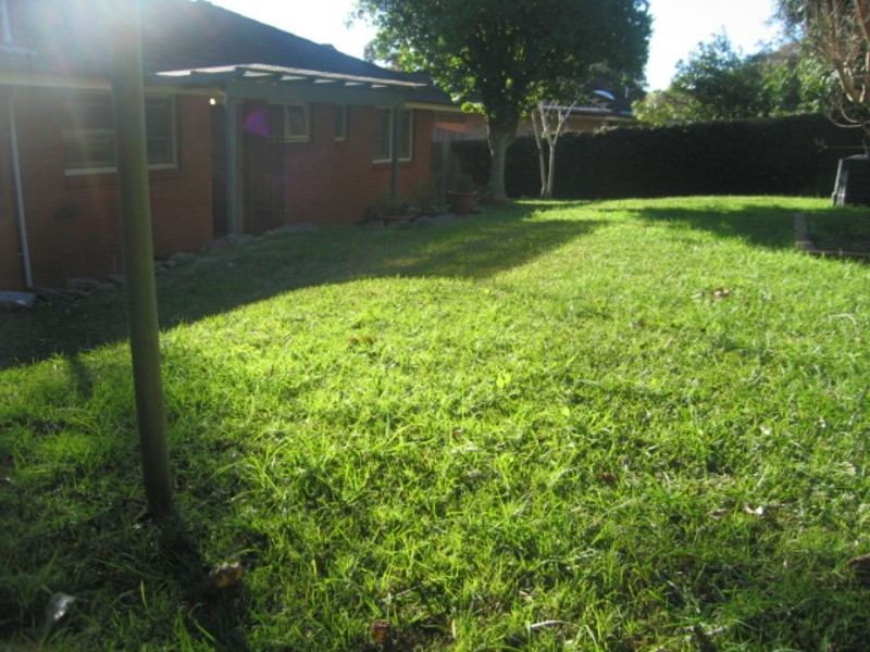 24 Algona Street, Bilgola Plateau NSW 2107