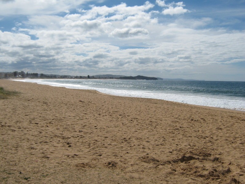 2 The Avenue, Collaroy Beach NSW 2097