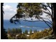 38 Grandview Drive, Newport NSW 2106