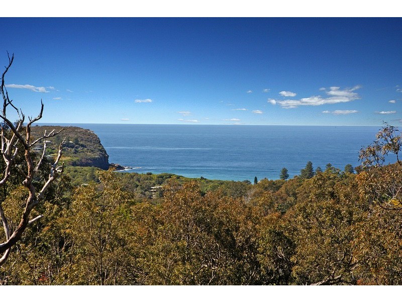 61 Chisholm Avenue, Avalon NSW 2107