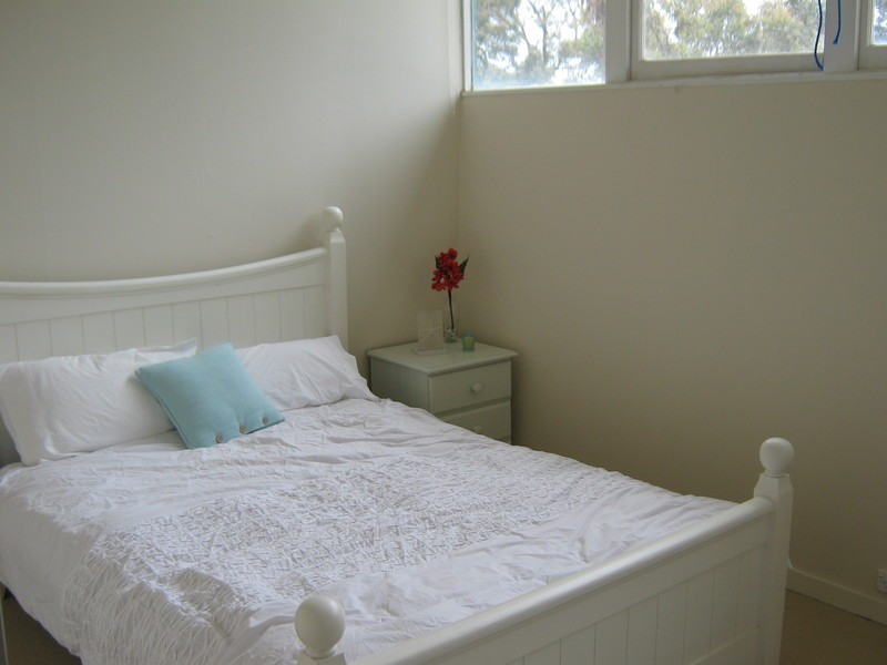 77 Park Avenue, Avalon Beach NSW 2107