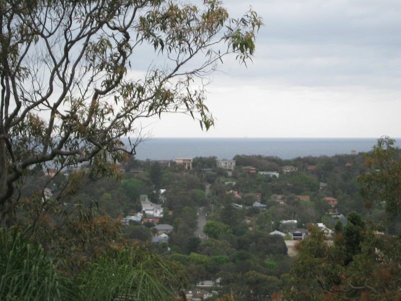 77 Park Avenue, Avalon Beach NSW 2107