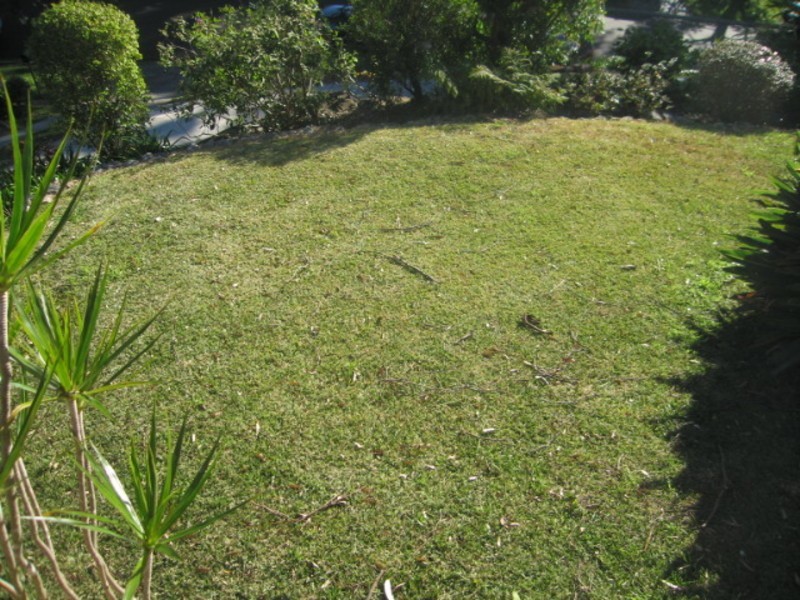 24 Algona Street, Bilgola Plateau NSW 2107