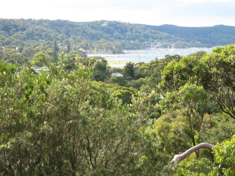 183 Barrenjoey Road, Newport NSW 2106