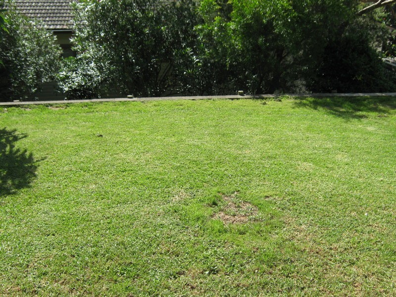 183 Barrenjoey Road, Newport NSW 2106