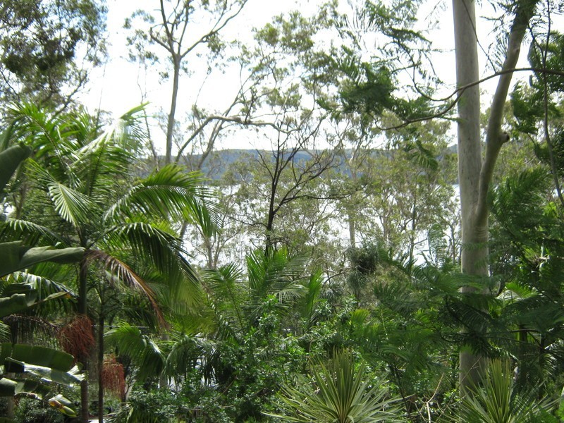 29 Hilltop Road, Avalon NSW 2107