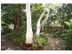 137 Plateau Road, Bilgola Plateau NSW 2107