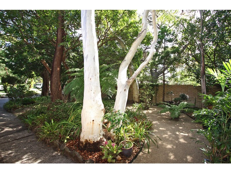 137 Plateau Road, Bilgola Plateau NSW 2107
