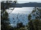 78 Herbert Avenue, Newport NSW 2106