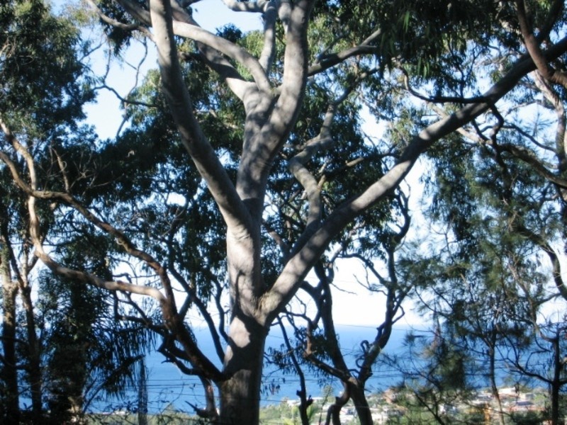 32 The Outlook (Land Sale), Bilgola Plateau NSW 2107