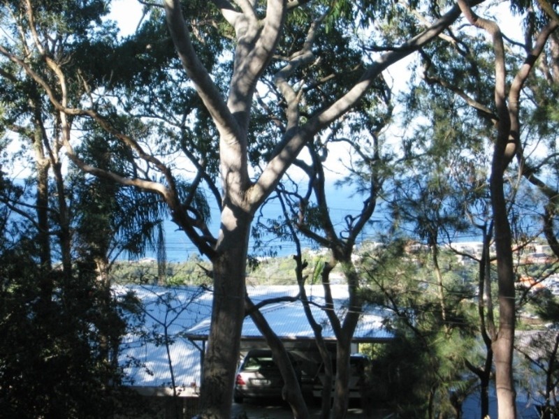 32 The Outlook (Land Sale), Bilgola Plateau NSW 2107