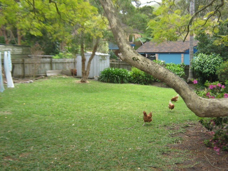 98 Avalon Parade, Avalon Beach NSW 2107