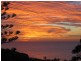 Newport NSW 2106