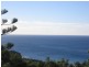 Newport NSW 2106
