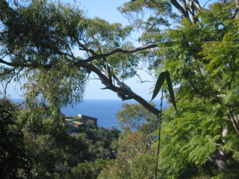 144 Grandview Drive, Newport NSW 2106