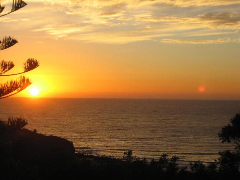 64 Grandview Drive, Newport NSW 2106