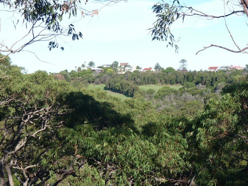 53 Dress Circle Road, Avalon NSW 2107