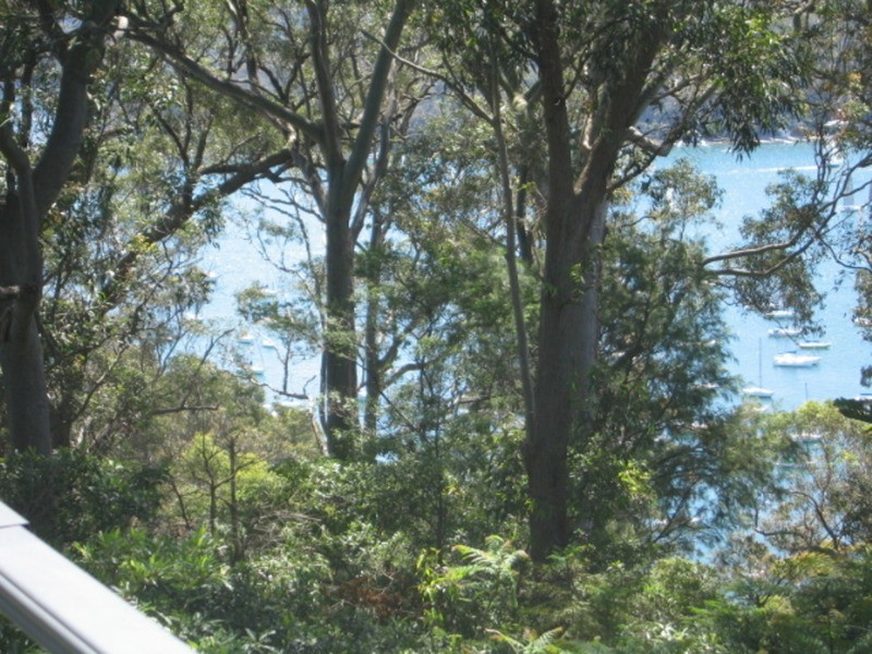 53 Loombah Street, Bilgola Plateau NSW 2107