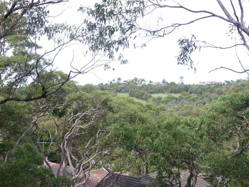 53 Dress Circle Road, Avalon NSW 2107