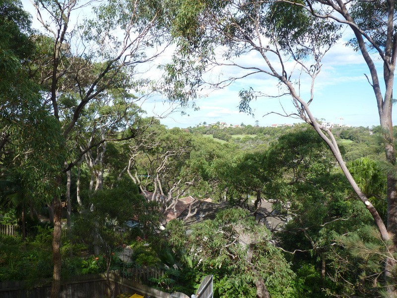 53 Dress Circle Road, Avalon NSW 2107