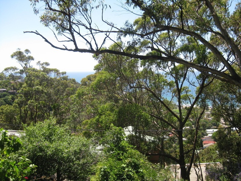 103-105 Grandview Drive, Newport NSW 2106