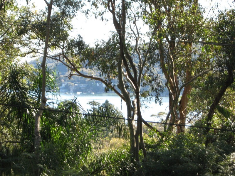 7 Net Road, Avalon NSW 2107