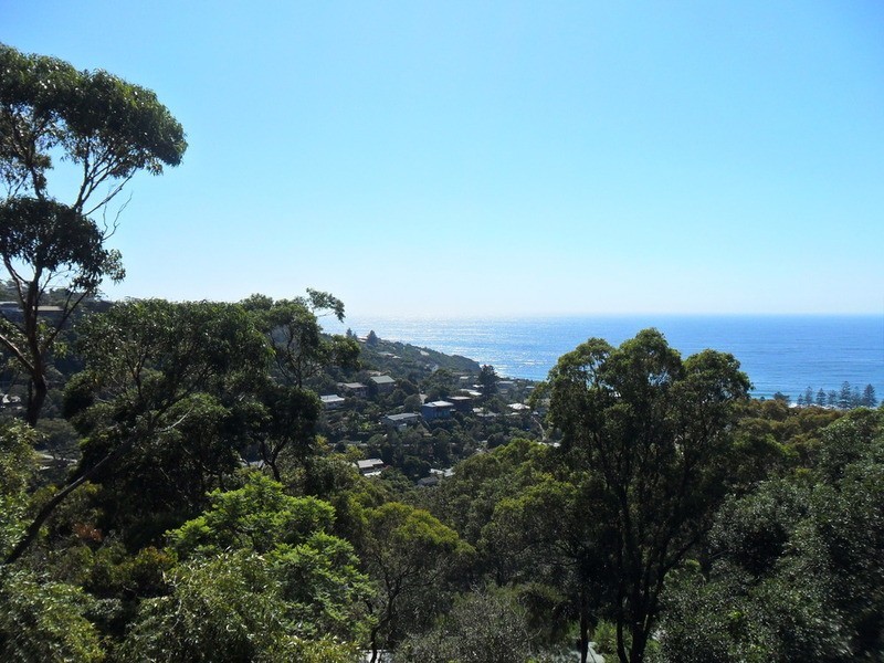 78 Grandview Drive, Newport NSW 2106