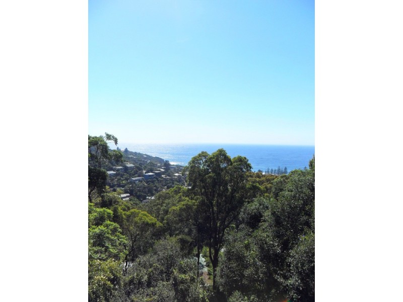 78 Grandview Drive, Newport NSW 2106