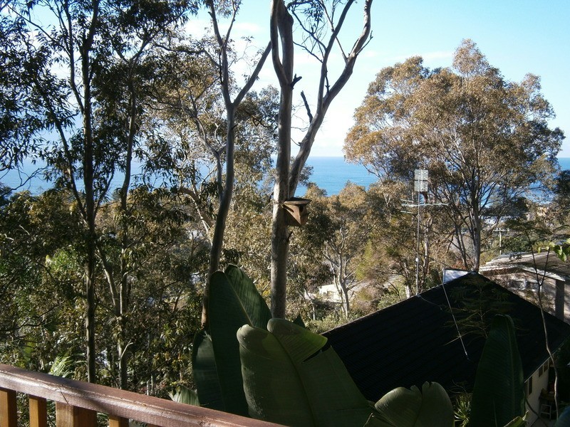 29 Grandview Drive, Newport NSW 2106