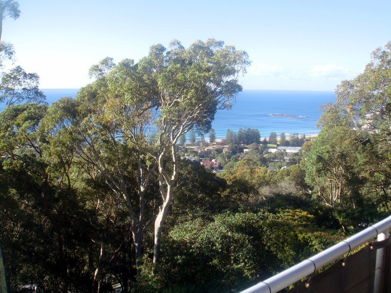 98 Grandview Drive, Newport NSW 2106