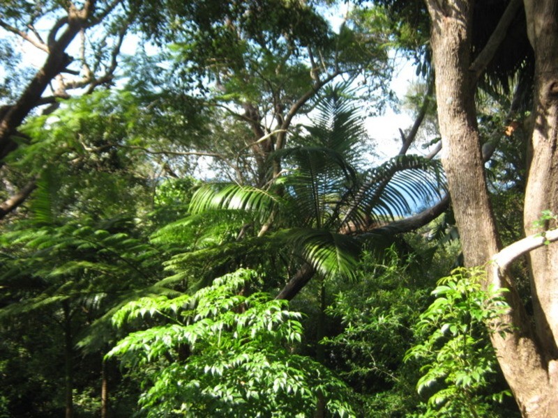 1 Wollombi Road, Bilgola NSW 2107