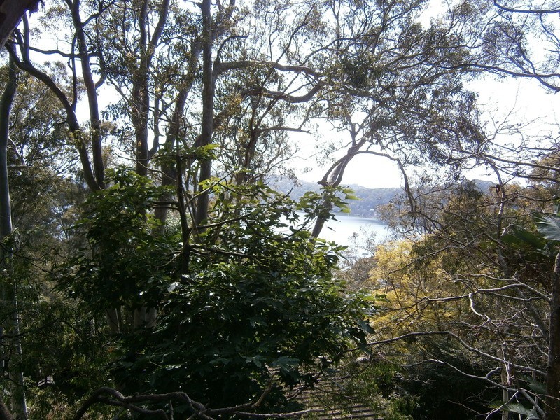 21 Wandearah Avenue, Avalon NSW 2107