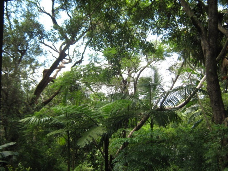 1 Wollombi Road, Bilgola NSW 2107