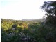 86 Whale Beach  Road, Avalon NSW 2107