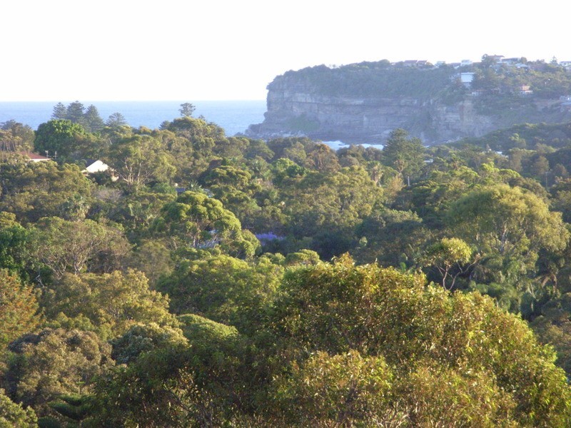 86 Whale Beach  Road, Avalon NSW 2107